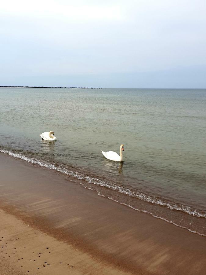 Palanga Apartments Near Baltic Sea Exterior photo